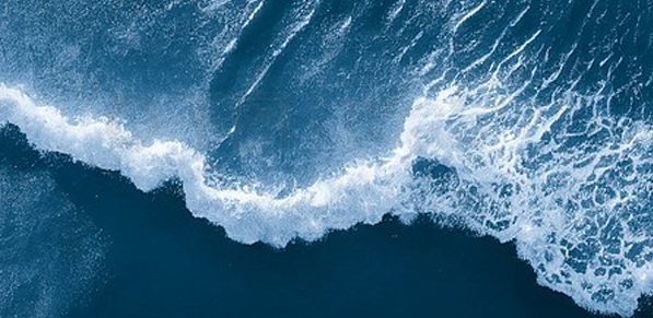  曼哈格：海水中烷基汞可以去除吗