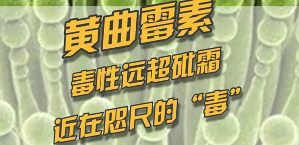 黄曲霉毒素高温能杀死不? 曼哈格提供检测标准物质